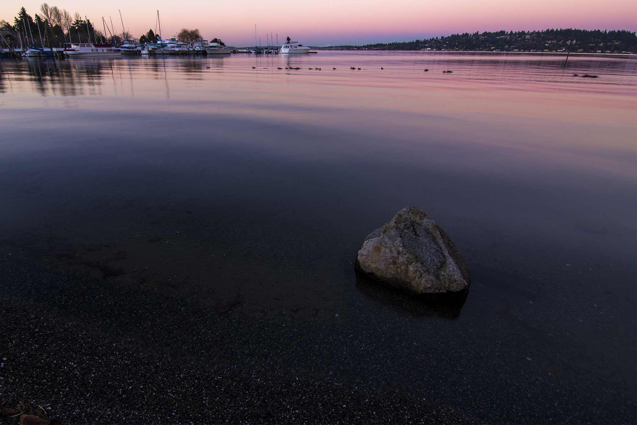 Seward Park Beach