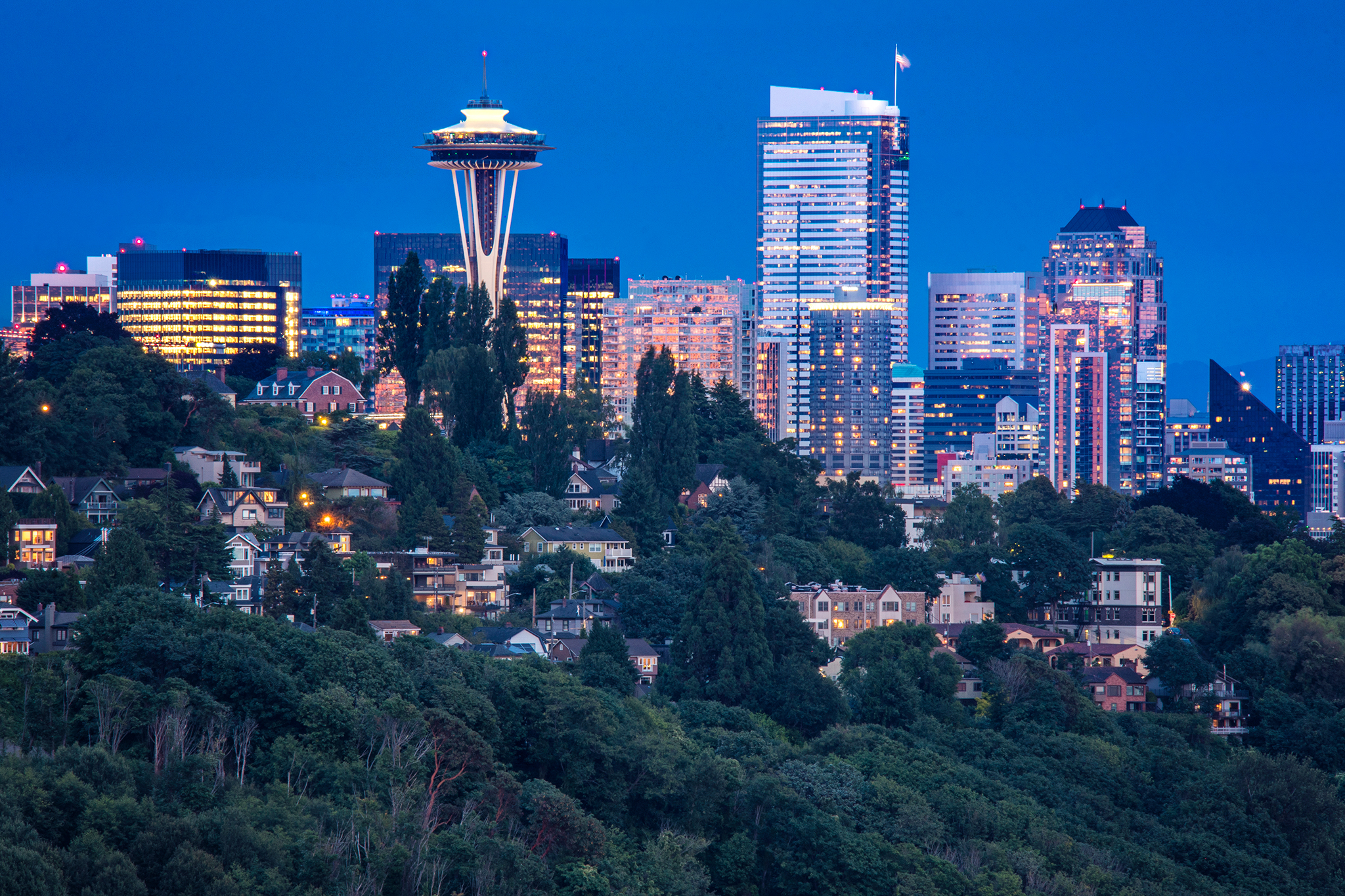 Best Zoom Backgrounds For Your Seattle Meetings