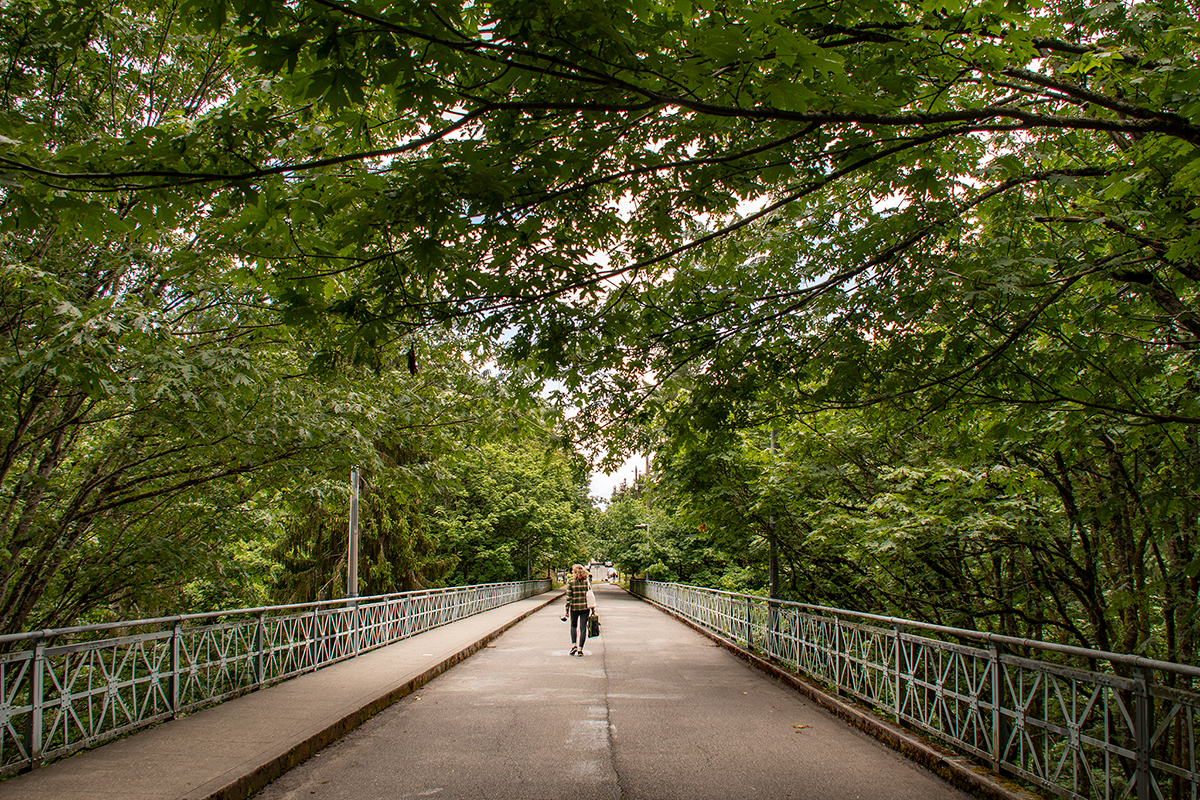 Great Walks To Take Around Seattle
