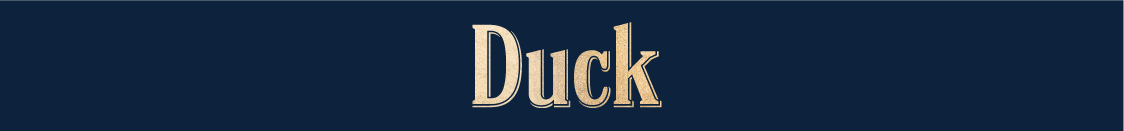 Duck
