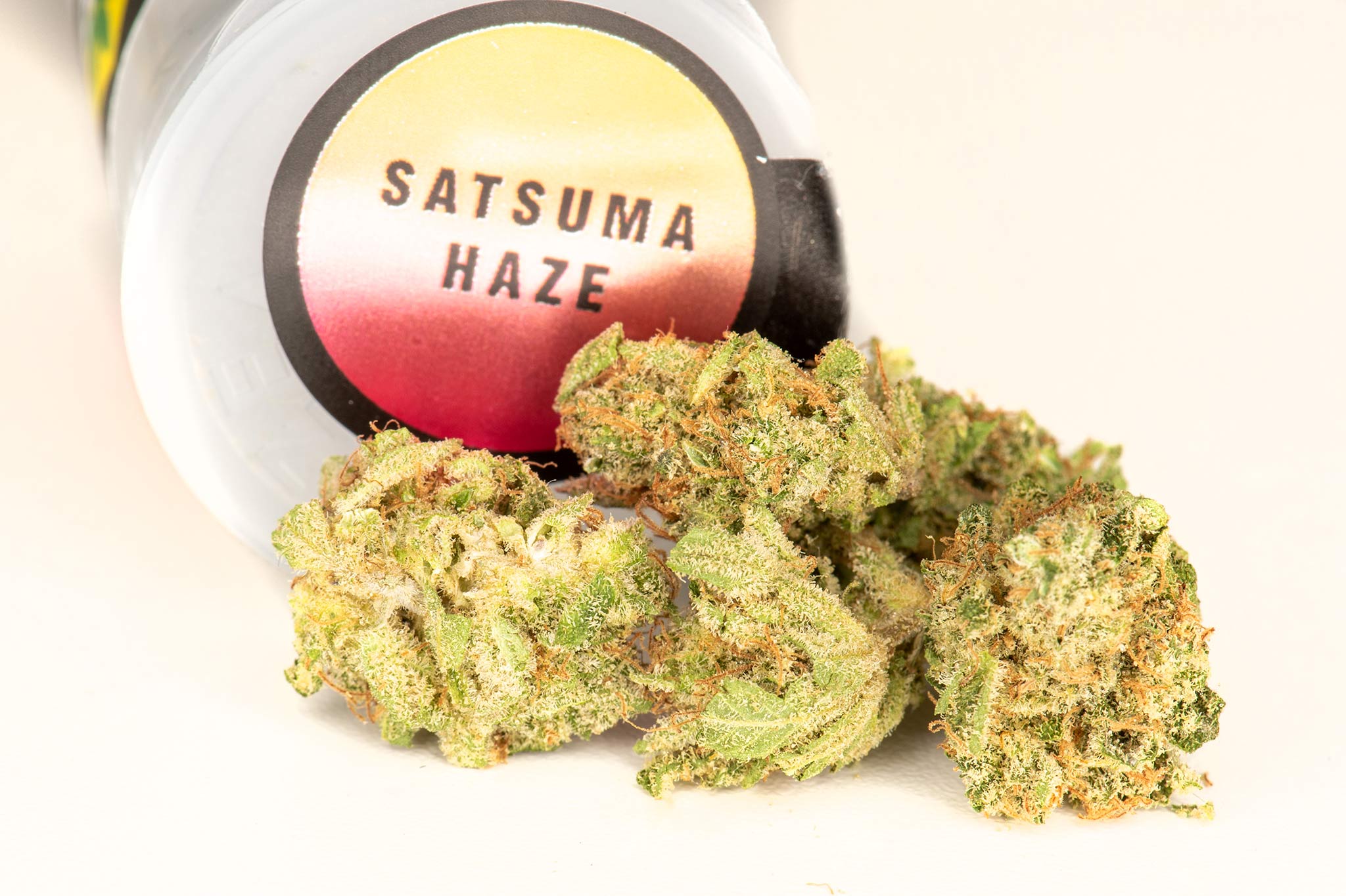 Seattle's Top Cannabis Strains